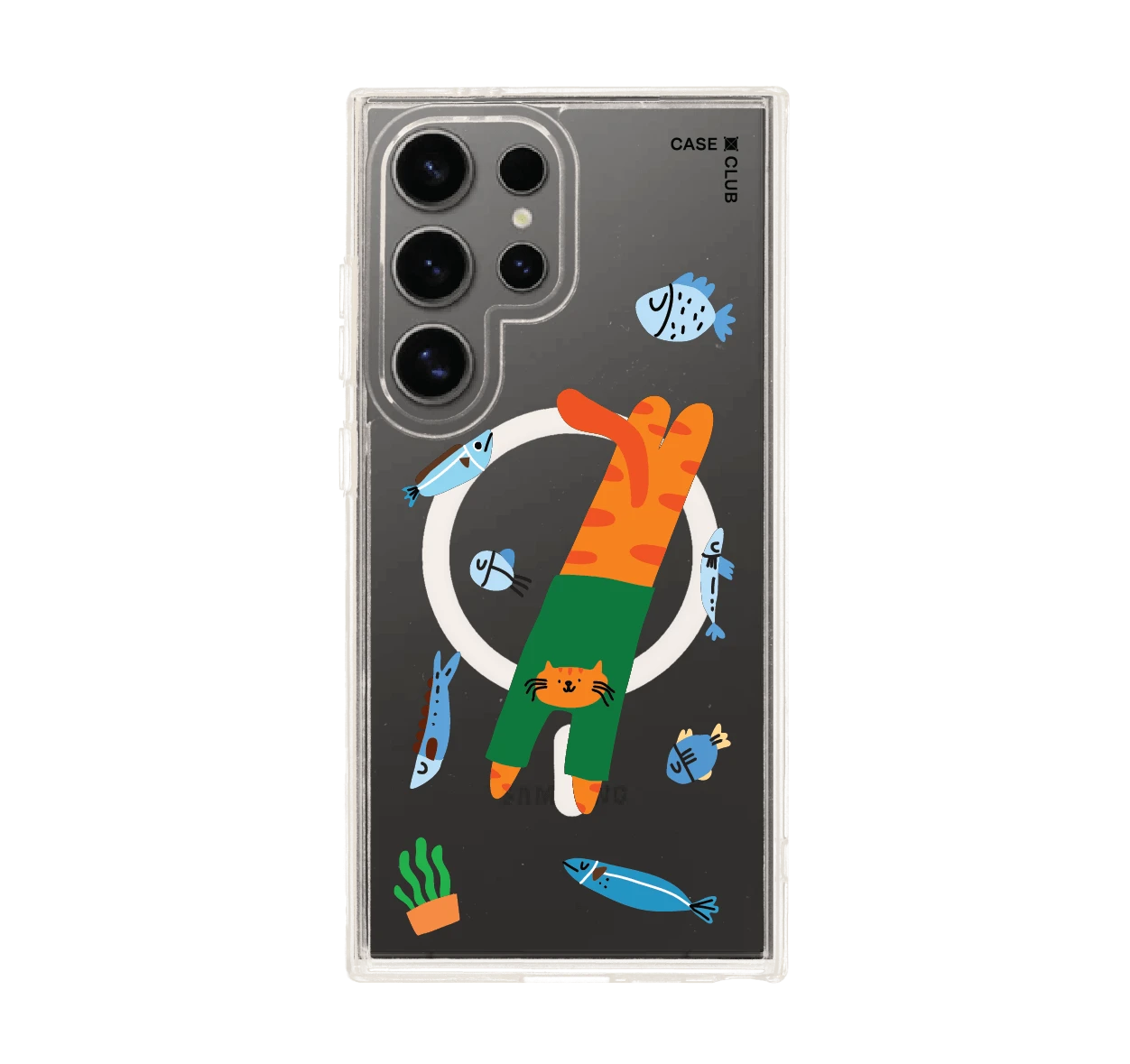 orange cat with green shirt